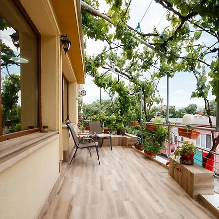 Cozy - Green Terrace *
