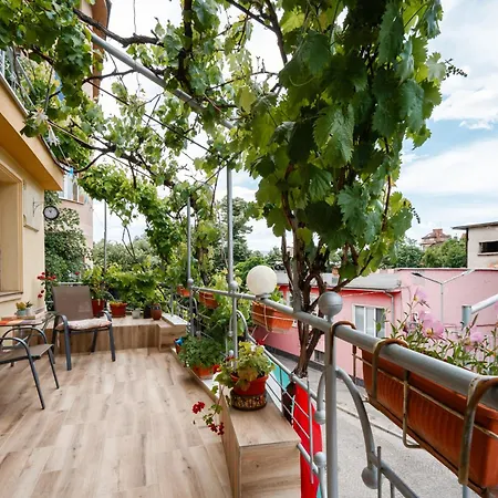 Cozy - Green Terrace *