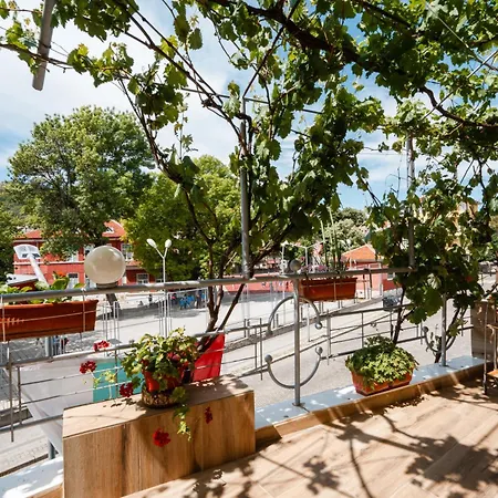 Cozy - Green Terrace Appartamento